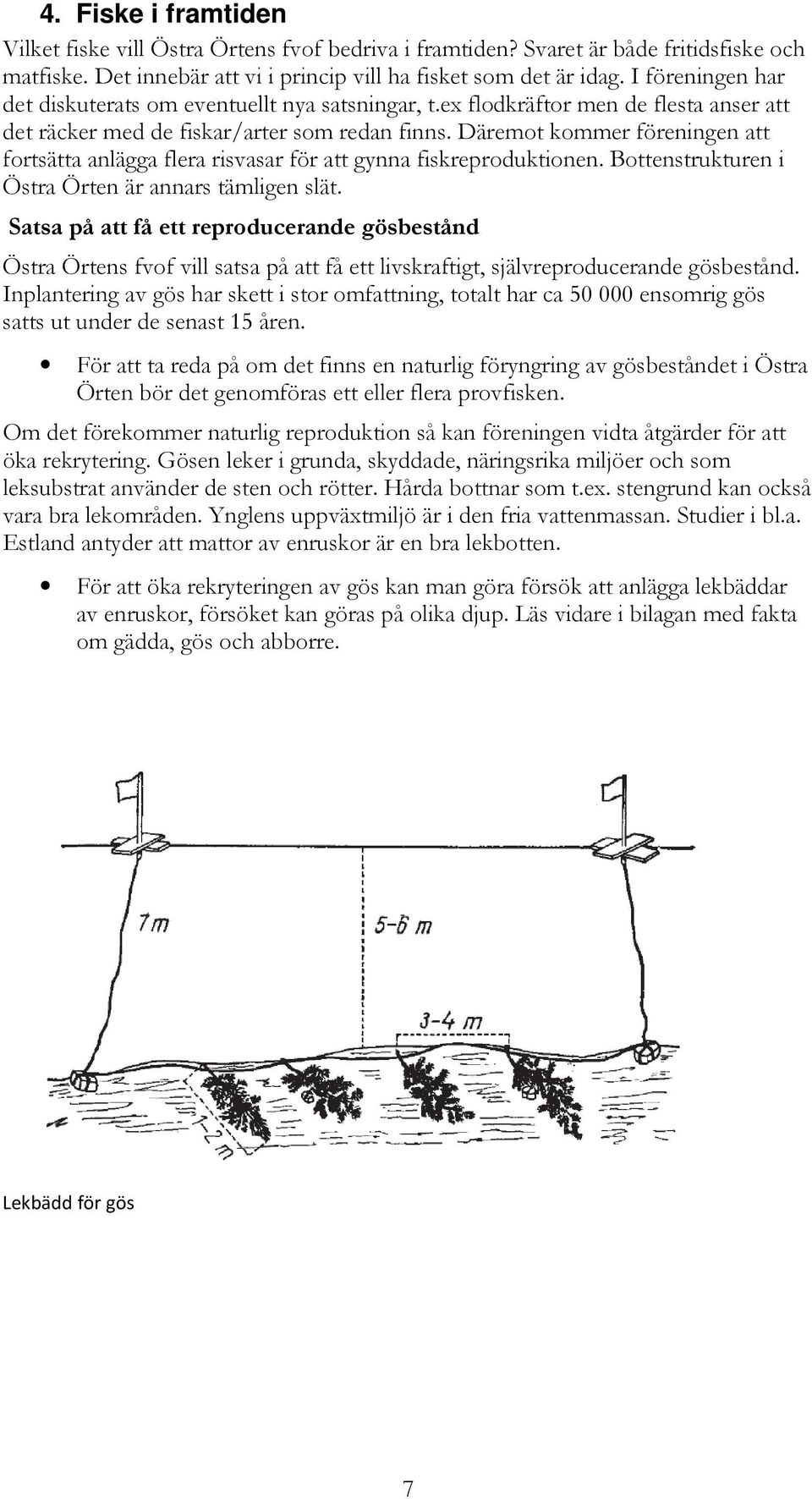 Däremot kommer föreningen att fortsätta anlägga flera risvasar för att gynna fiskreproduktionen. Bottenstrukturen i Östra Örten är annars tämligen slät.