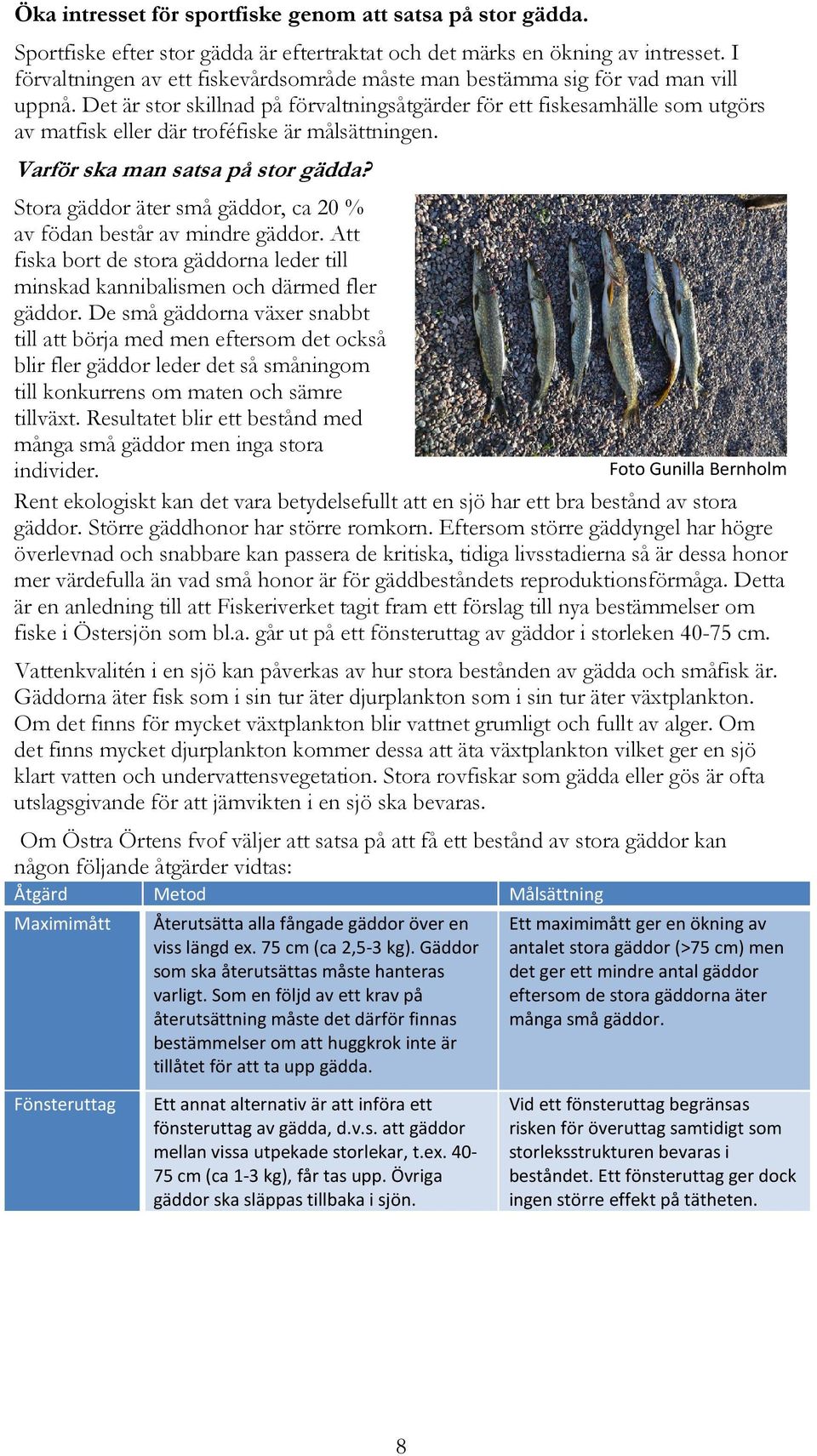 Det är stor skillnad på förvaltningsåtgärder för ett fiskesamhälle som utgörs av matfisk eller där troféfiske är målsättningen. Varför ska man satsa på stor gädda?