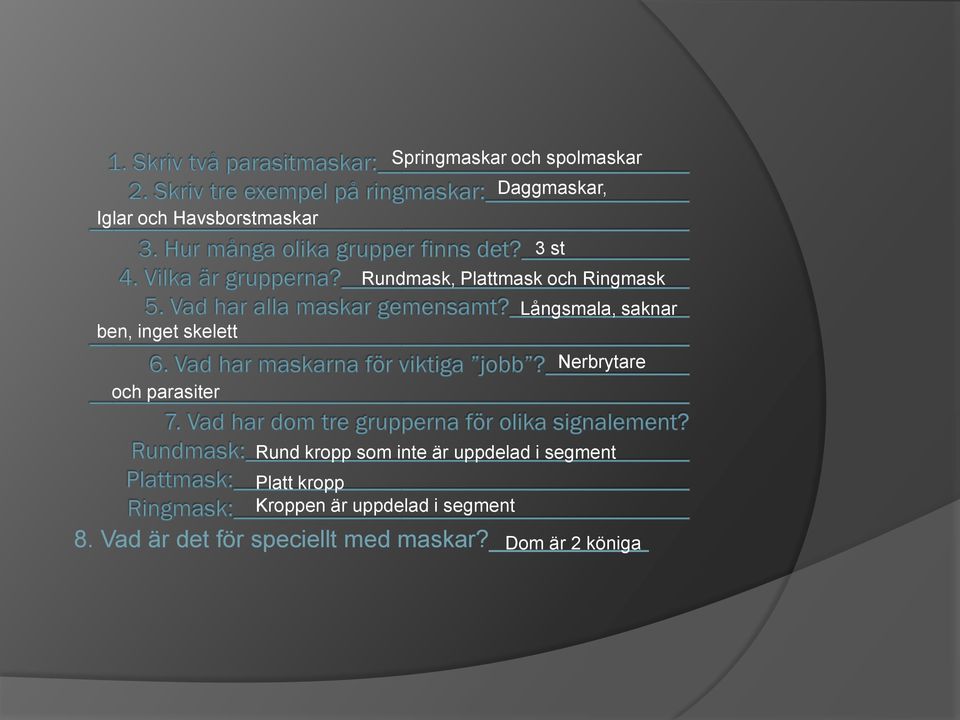 saknar Nerbrytare Rund kropp som inte är uppdelad i segment Platt kropp