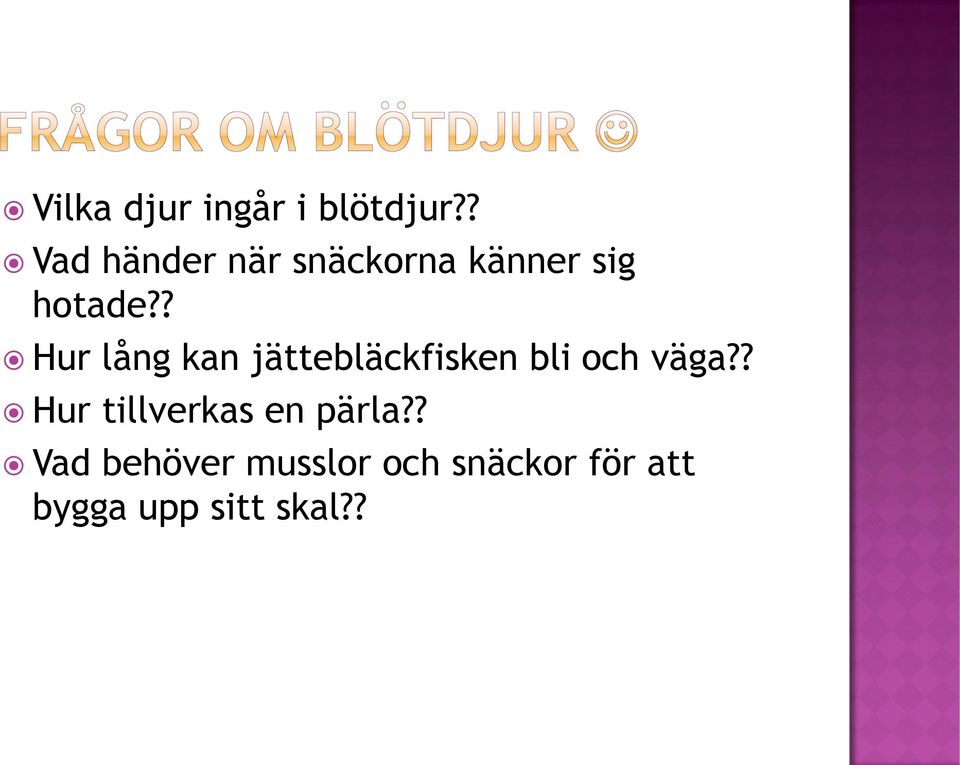 ? Hur lång kan jättebläckfisken bli och väga?