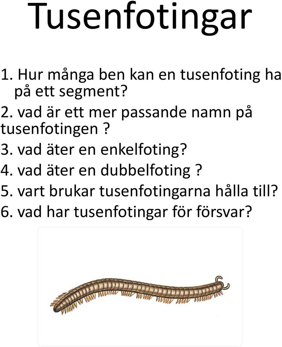 vad är ett mer passande namn på tusenfotingen? 3.