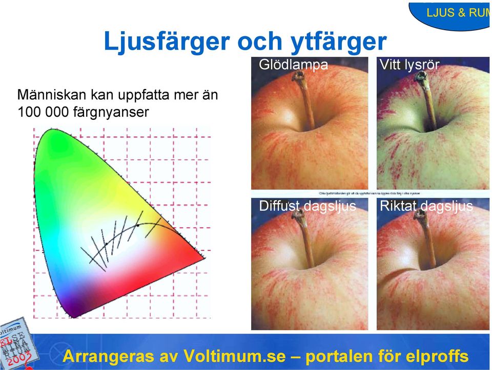 färgnyanser Glödlampa Vitt lysrör