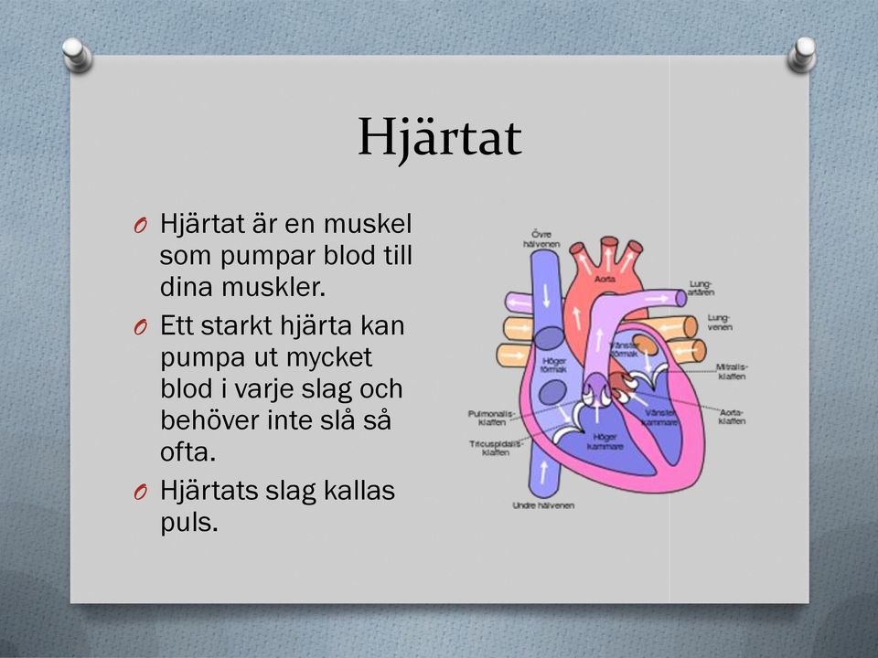 O Ett starkt hjärta kan pumpa ut mycket blod