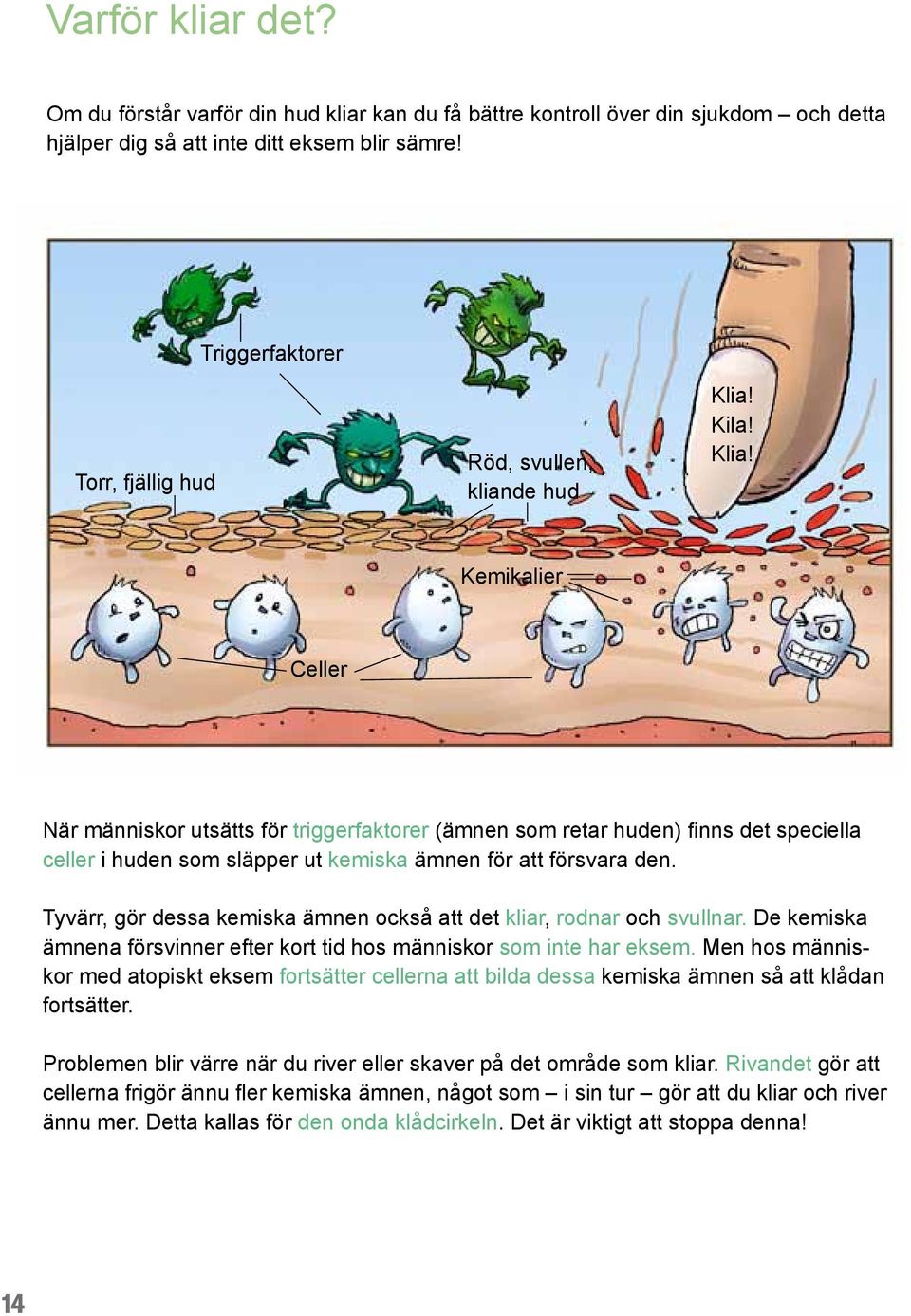 Kila! Klia! Kemikalier Celler När människor utsätts för triggerfaktorer (ämnen som retar huden) finns det speciella celler i huden som släpper ut kemiska ämnen för att försvara den.