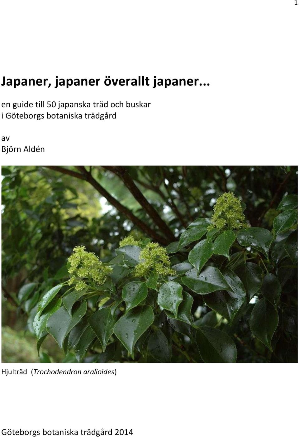 Göteborgs botaniska trädgård av Björn Aldén