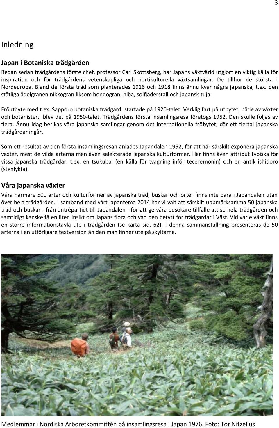den ståtliga ädelgranen nikkogran liksom hondogran, hiba, solfjäderstall och japansk tuja. Fröutbyte med t.ex. Sapporo botaniska trädgård startade på 1920-talet.