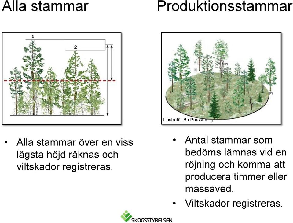 viltskador registreras.