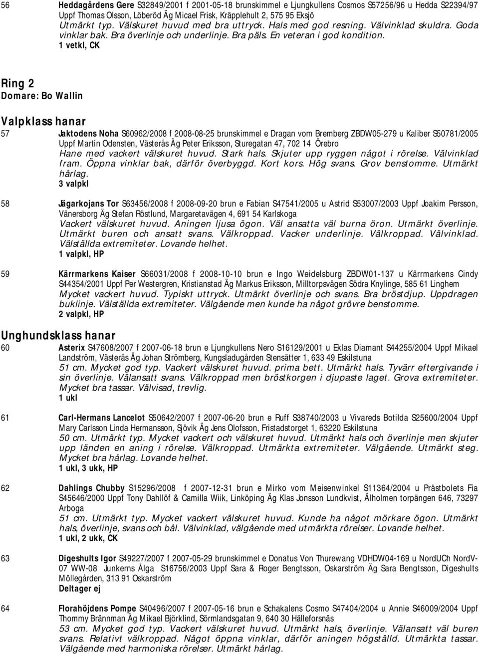 1 vetkl, CK Ring 2 Domare: Bo Wallin Valpklass hanar 57 Jaktodens Noha S60962/2008 f 2008-08-25 brunskimmel e Dragan vom Bremberg ZBDW05-279 u Kaliber S50781/2005 Uppf Martin Odensten, Västerås Äg