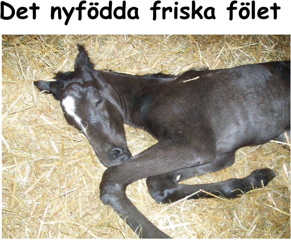 friska