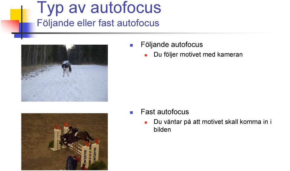 motivet med kameran Fast autofocus Du