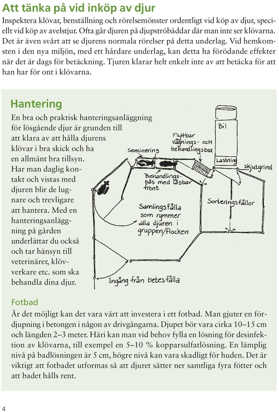 Vid hemkomsten i den nya miljön, med ett hårdare underlag, kan detta ha förödande effekter när det är dags för betäckning.