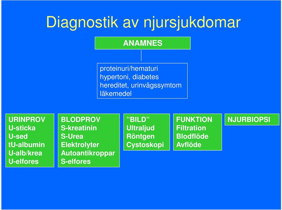 U-alb/krea U-elfores BLODPROV S-kreatinin S-Urea Elektrolyter Autoantikroppar