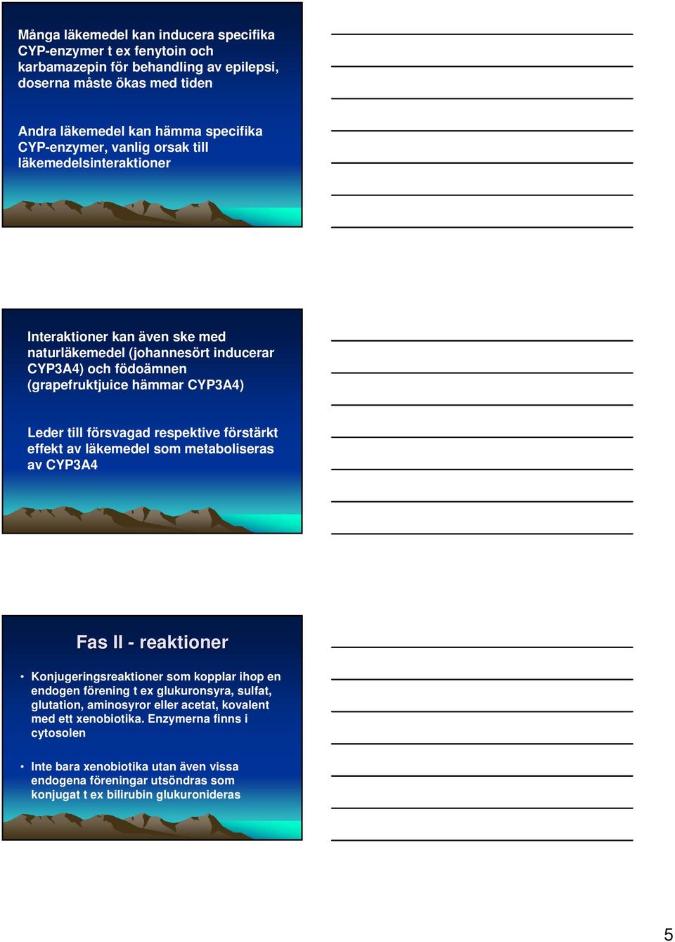 respektive förstärkt effekt av läkemedel som metaboliseras av CYP3A4 Fas II - reaktioner Konjugeringsreaktioner som kopplar ihop en endogen förening t ex glukuronsyra, sulfat, glutation,