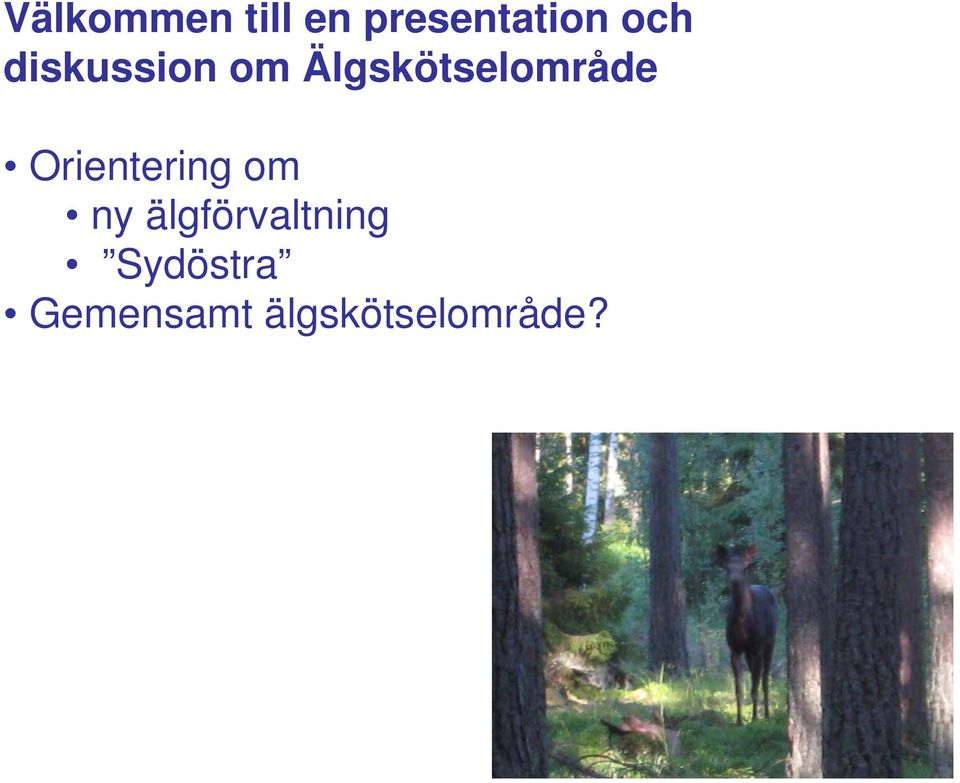 Älgskötselområde Orientering om