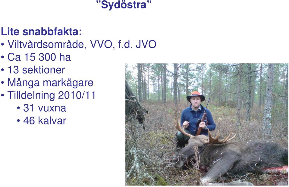 område
