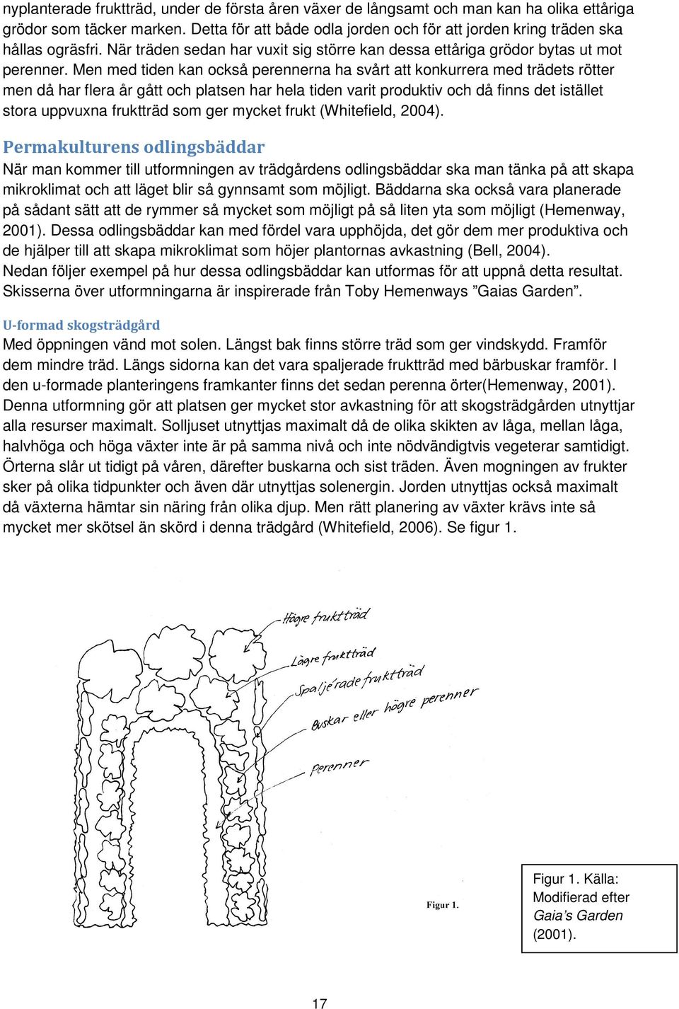 Men med tiden kan också perennerna ha svårt att konkurrera med trädets rötter men då har flera år gått och platsen har hela tiden varit produktiv och då finns det istället stora uppvuxna fruktträd