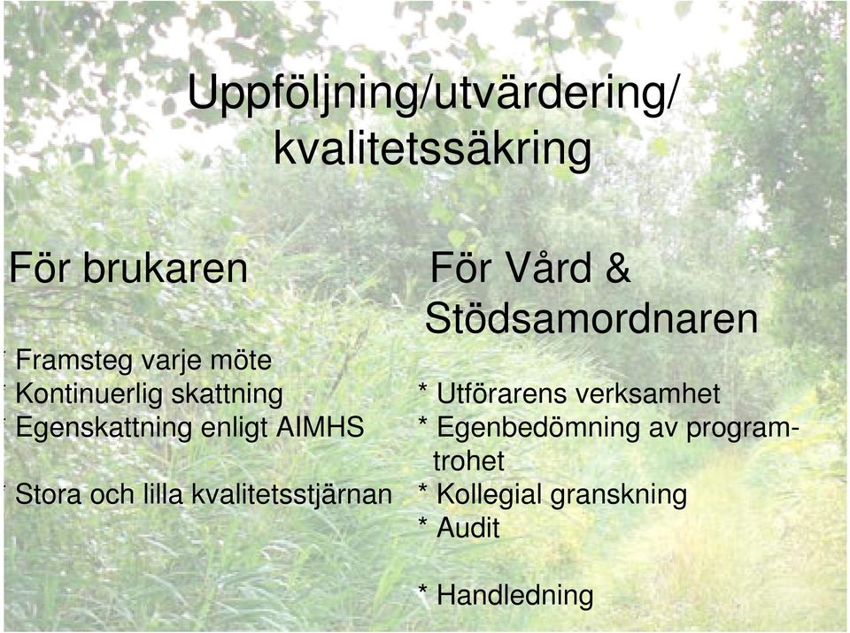 Utförarens verksamhet * Egenskattning enligt AIMHS * Egenbedömning av