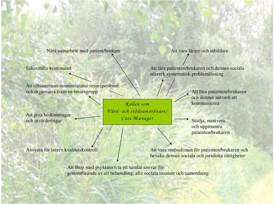 dennes nätverk att kommunicera Att göra bedömningar och utvärderingar Case M anager Stödja, motivera och uppmuntra patienten/brukaren Ansvara för intern kvalitetskontroll Att vara