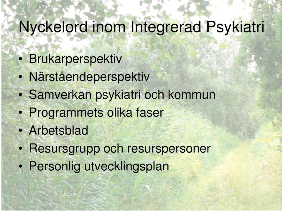 psykiatri och kommun Programmets olika faser