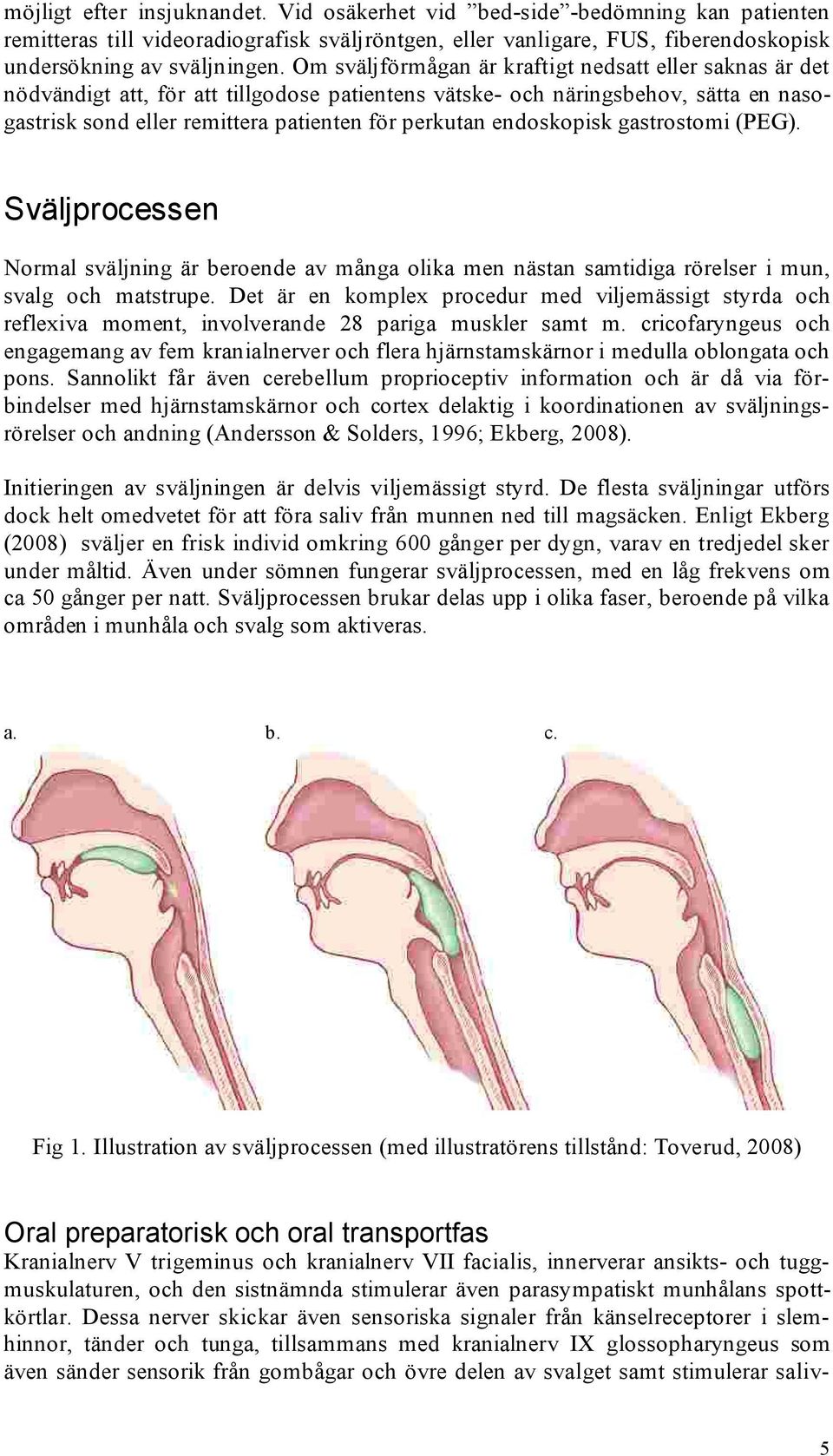 endoskopisk gastrostomi (PEG). Sväljprocessen Normal sväljning är beroende av många olika men nästan samtidiga rörelser i mun, svalg och matstrupe.