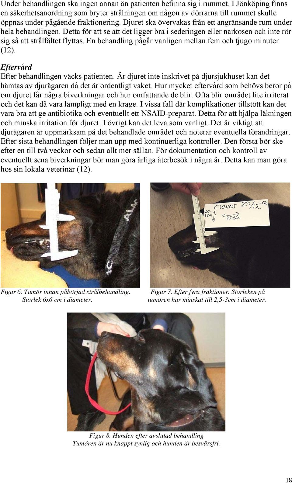 Djuret ska övervakas från ett angränsande rum under hela behandlingen. Detta för att se att det ligger bra i sederingen eller narkosen och inte rör sig så att strålfältet flyttas.