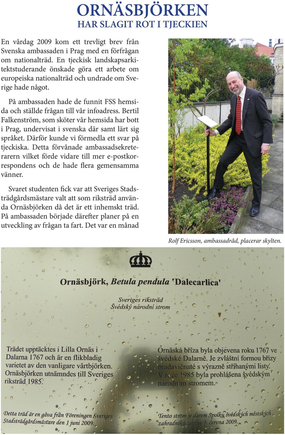 På ambassaden hade de funnit FSS hemsida och ställde frågan till vår infoadress. Bertil Falkenström, som sköter vår hemsida har bott i Prag, undervisat i svenska där samt lärt sig språket.