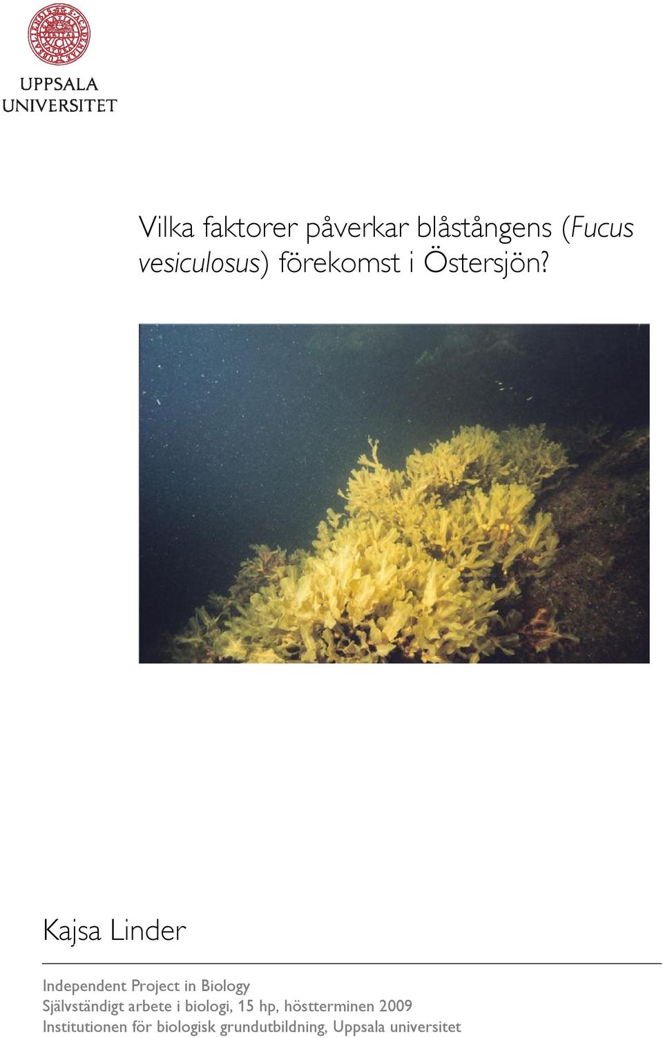 Kajsa Linder Independent Project in Biology Självständigt
