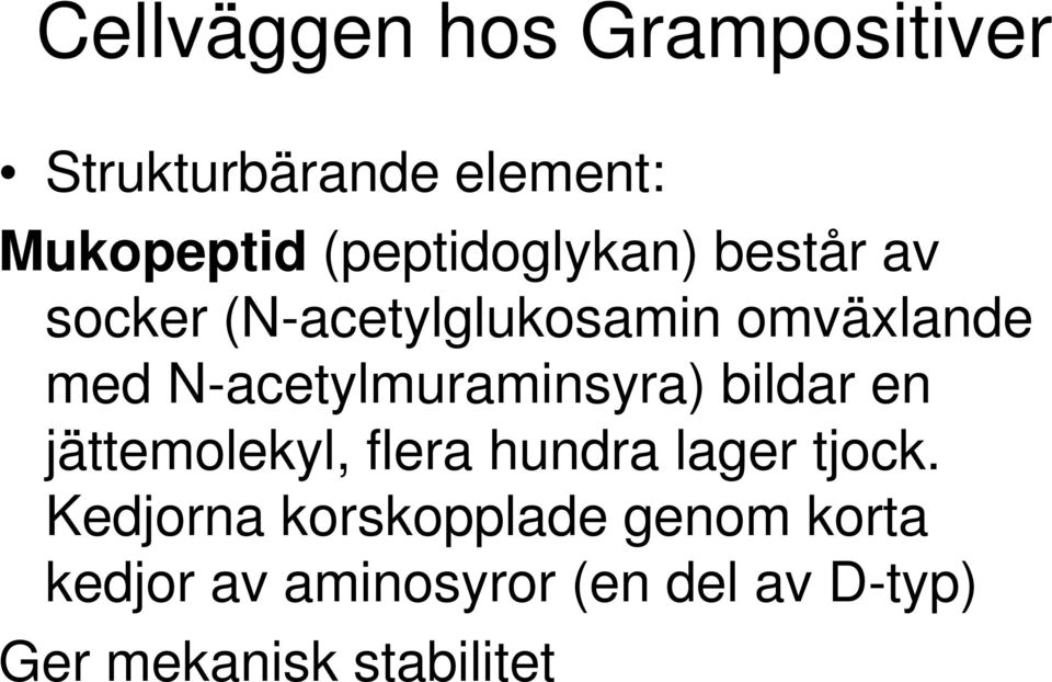 N-acetylmuraminsyra) bildar en jättemolekyl, flera hundra lager tjock.