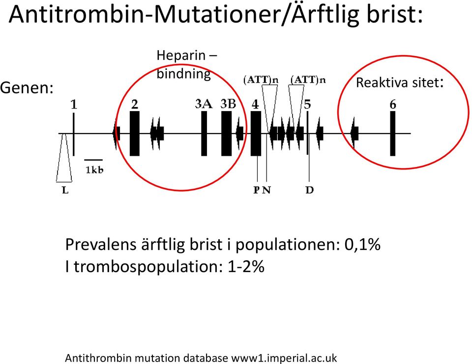 ärftlig brist i populationen: 0,1% I