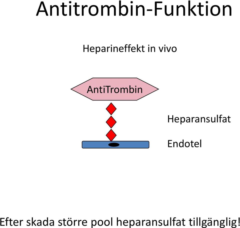 AntiTrombin Heparansulfat