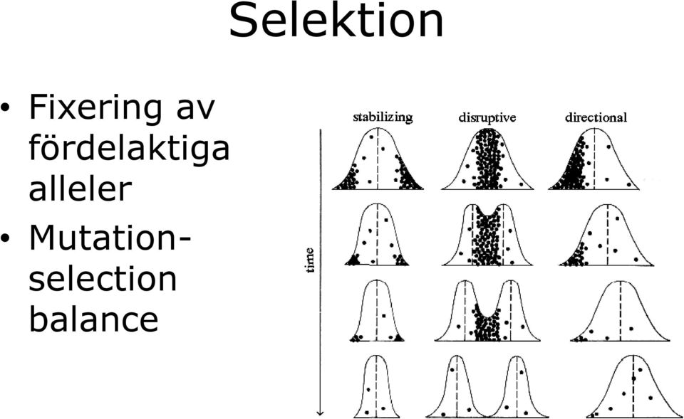 fördelaktiga