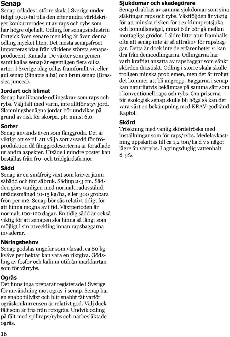 De växter som gemensamt kallas senap är egentligen flera olika arter. I Sverige idag odlas framförallt vit eller gul senap (Sinapis alba) och brun senap (Brassica juncea).