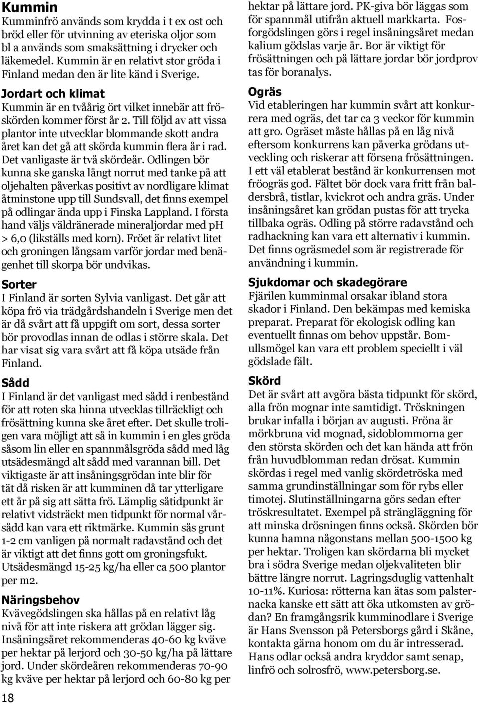 Till följd av att vissa plantor inte utvecklar blommande skott andra året kan det gå att skörda kummin flera år i rad. Det vanligaste är två skördeår.