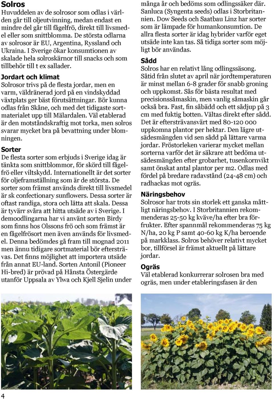 Jordart och klimat Solrosor trivs på de flesta jordar, men en varm, väldränerad jord på en vindskyddad växtplats ger bäst förutsättningar.