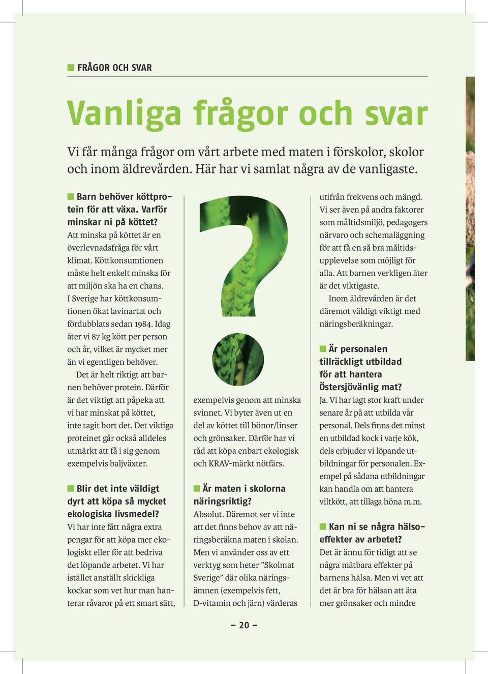 Köttkonsumtionen måste helt enkelt minska för att miljön ska ha en chans. I Sverige har köttkonsumtionen ökat lavinartat och fördubblats sedan 1984.