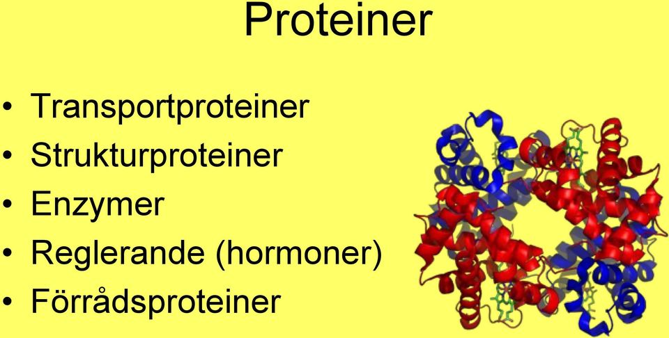 Strukturproteiner