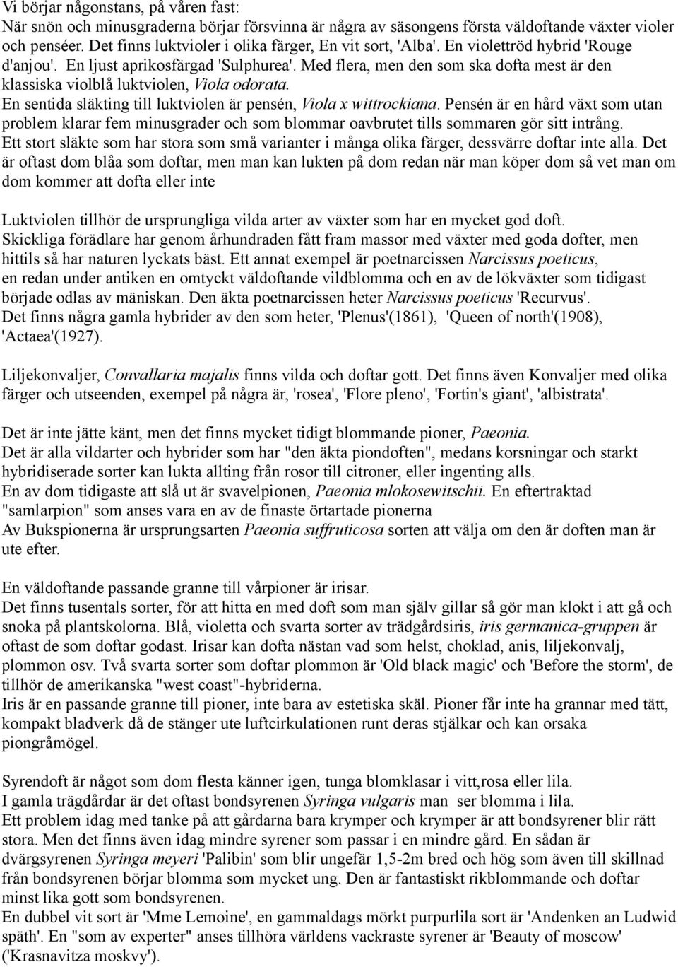 Med flera, men den som ska dofta mest är den klassiska violblå luktviolen, Viola odorata. En sentida släkting till luktviolen är pensén, Viola x wittrockiana.