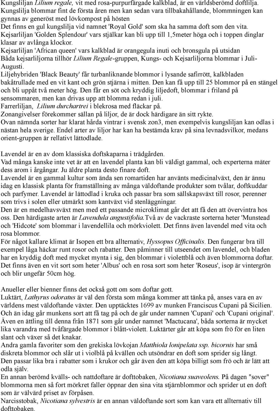 samma doft som den vita. Kejsarliljan 'Golden Splendour' vars stjälkar kan bli upp till 1,5meter höga och i toppen dinglar klasar av avlånga klockor.