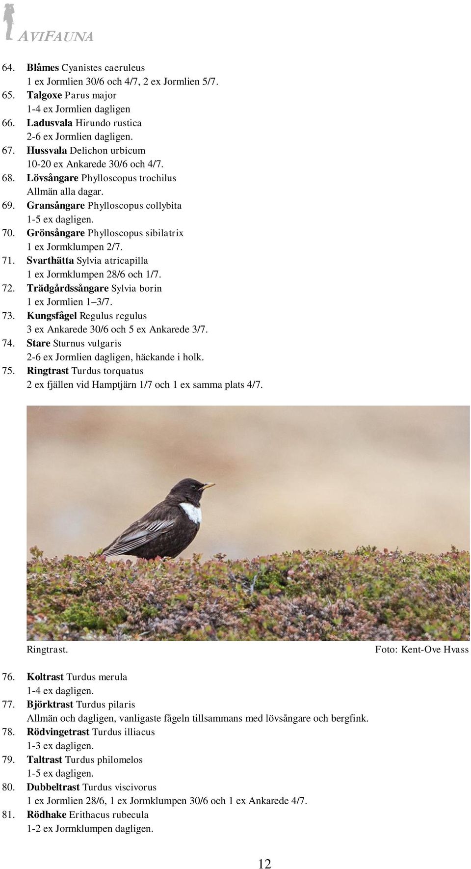 Grönsångare Phylloscopus sibilatrix 1 ex Jormklumpen 2/7. 71. Svarthätta Sylvia atricapilla 1 ex Jormklumpen 28/6 och 1/7. 72. Trädgårdssångare Sylvia borin 1 ex Jormlien 1 3/7. 73.