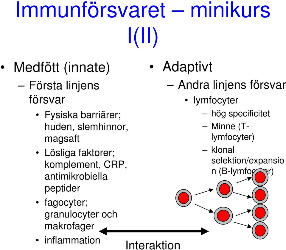 granulocyter och makrofager inflammation I(II) Adaptivt Interaktion Andra linjens försvar