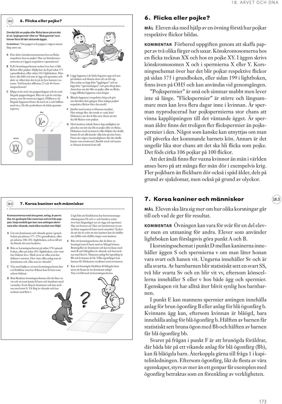 Fyll i korsningsschemat nedan över hur vi blir flickor eller pojkar. Hjälp kan du få på sidan 375 i grundboken, eller sidan 363 i lightboken.