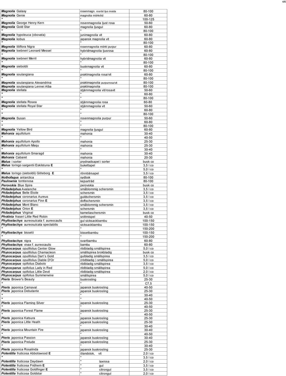 junimagnolia vit 60-80 Magnolia kobus japansk magnolia vit 60-80 Magnolia liliiflora Nigra rosenmagnolia mörkt purpur 60-80 Magnolia loebneri Leonard Messel hybridmagnolia ljusrosa 60-80 Magnolia
