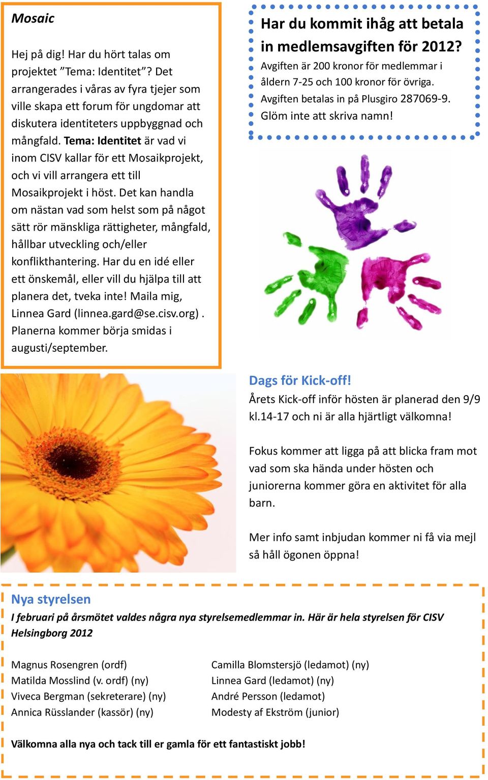 Det kan handla om nästan vad som helst som på något sätt rör mänskliga rättigheter, mångfald, hållbar utveckling och/eller konflikthantering.