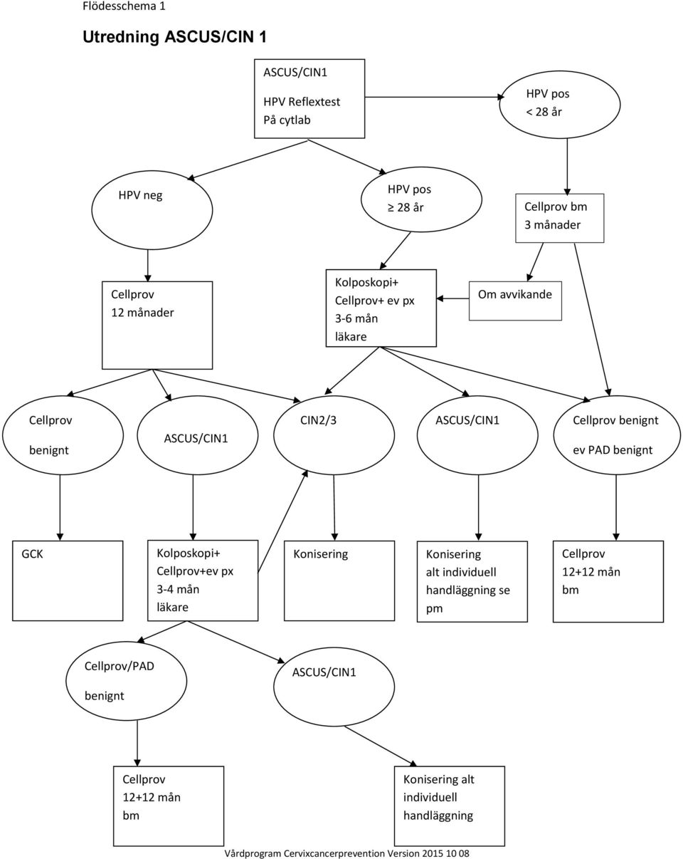 ASCUS/CIN1 benignt ev PAD benignt GCK Kolposkopi+ +ev px 3-4 mån läkare Konisering Konisering alt