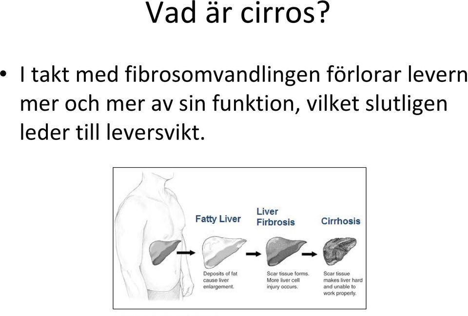 förlorar levern mer och mer av