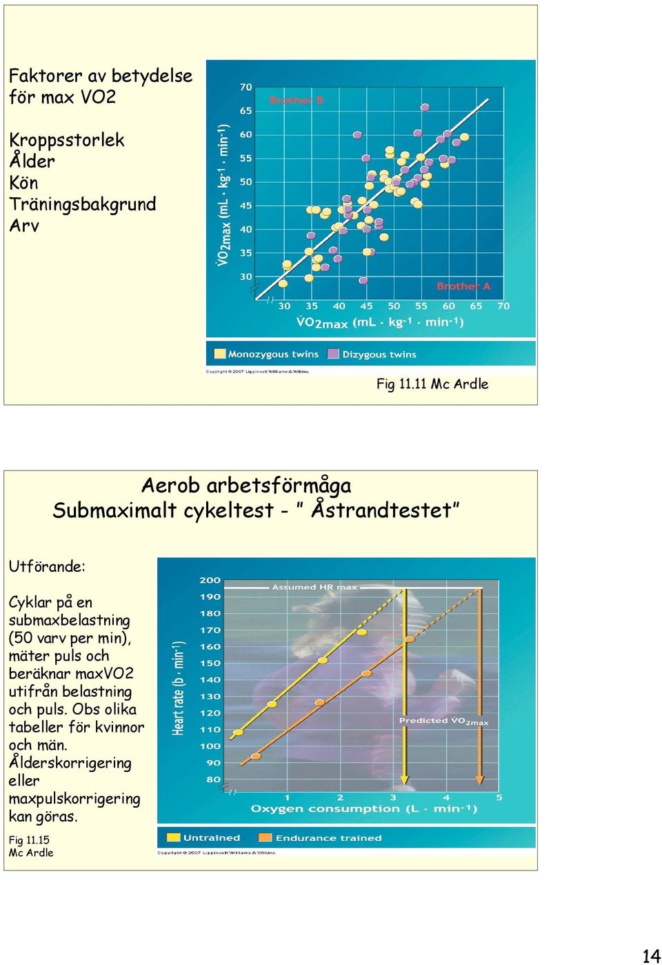 submaxbelastning (50 varv per min), mäter puls och beräknar maxvo2 utifrån belastning och puls.