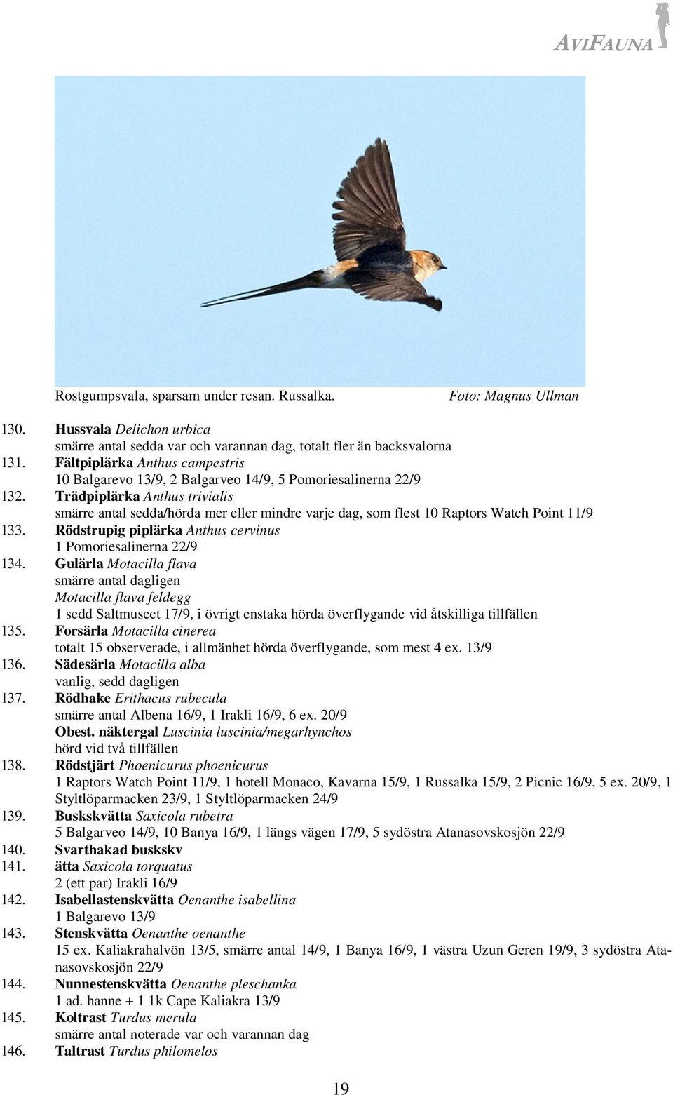 Trädpiplärka Anthus trivialis smärre antal sedda/hörda mer eller mindre varje dag, som flest 10 Raptors Watch Point 11/9 133. Rödstrupig piplärka Anthus cervinus 1 Pomoriesalinerna 22/9 134.