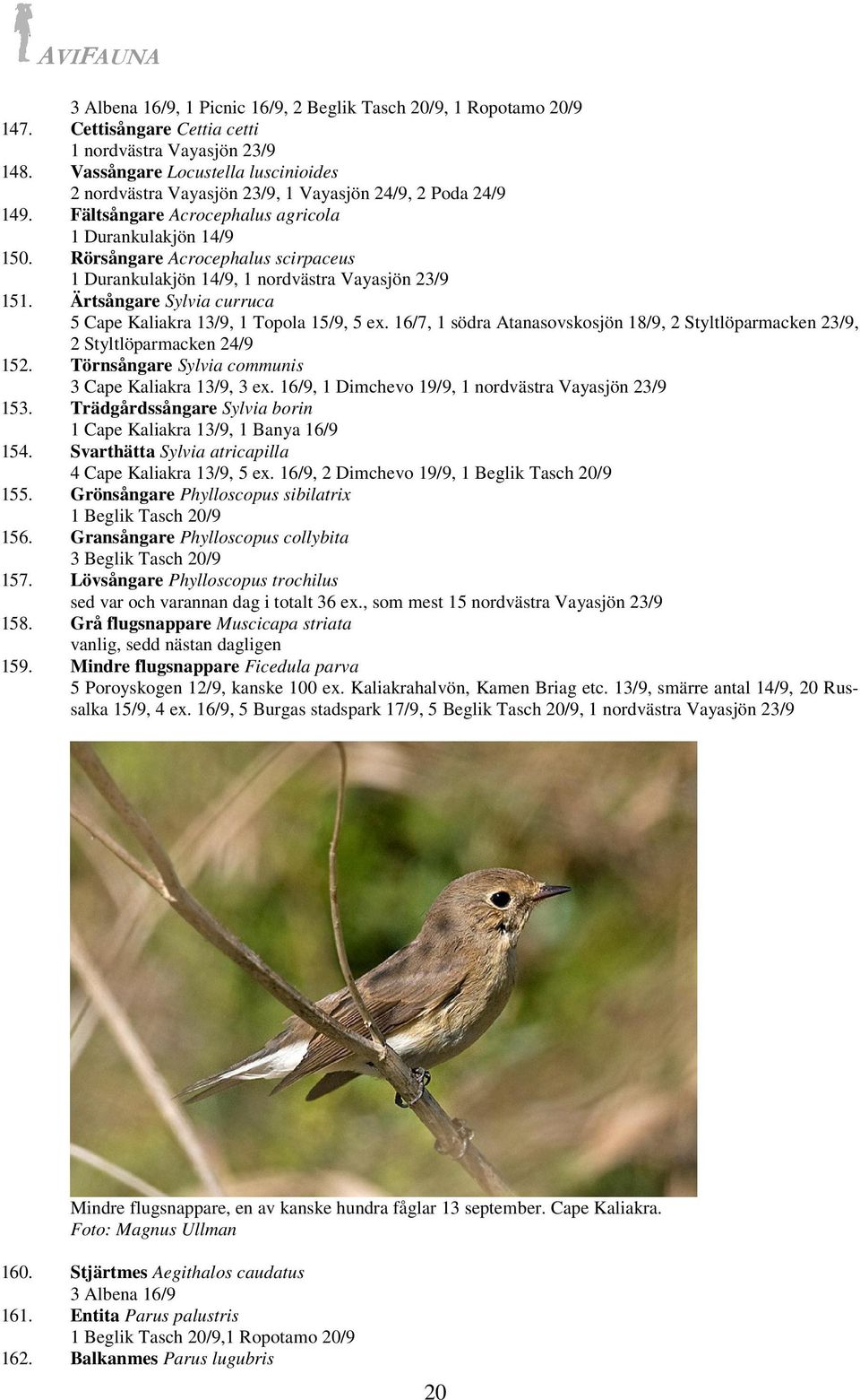 Rörsångare Acrocephalus scirpaceus 1 Durankulakjön 14/9, 1 nordvästra Vayasjön 23/9 151. Ärtsångare Sylvia curruca 5 Cape Kaliakra 13/9, 1 Topola 15/9, 5 ex.