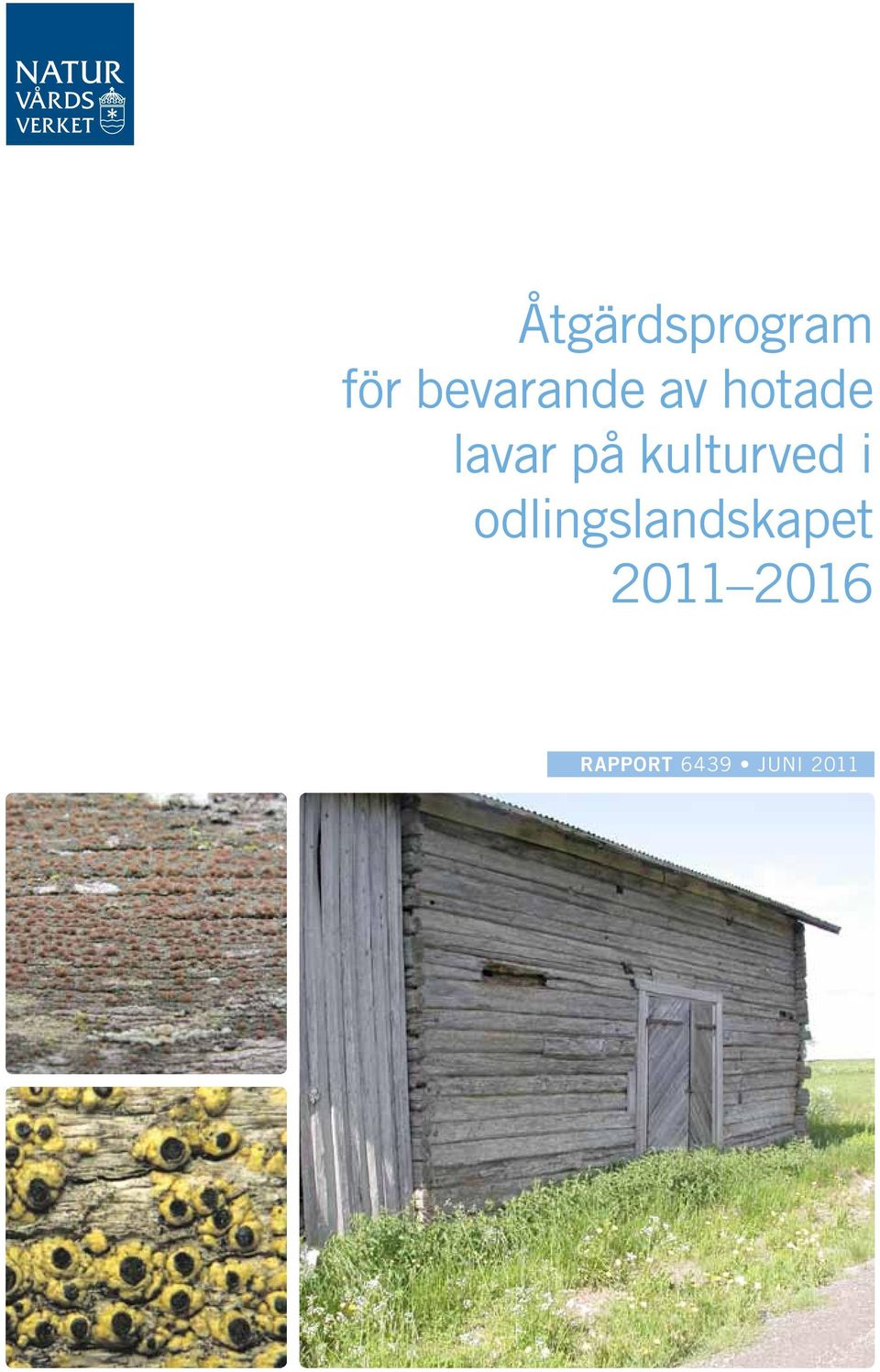 på kulturved i