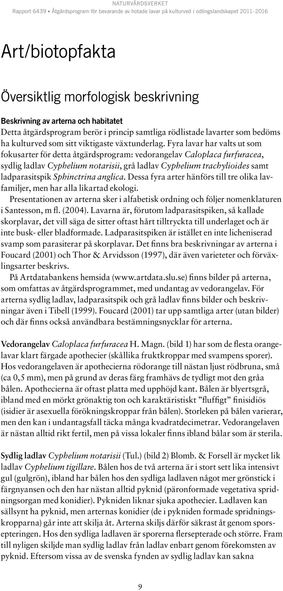 Fyra lavar har valts ut som fokusarter för detta åtgärdsprogram: vedorangelav Caloplaca furfuracea, sydlig ladlav Cyphelium notarisii, grå ladlav Cyphelium trachylioides samt ladparasitspik